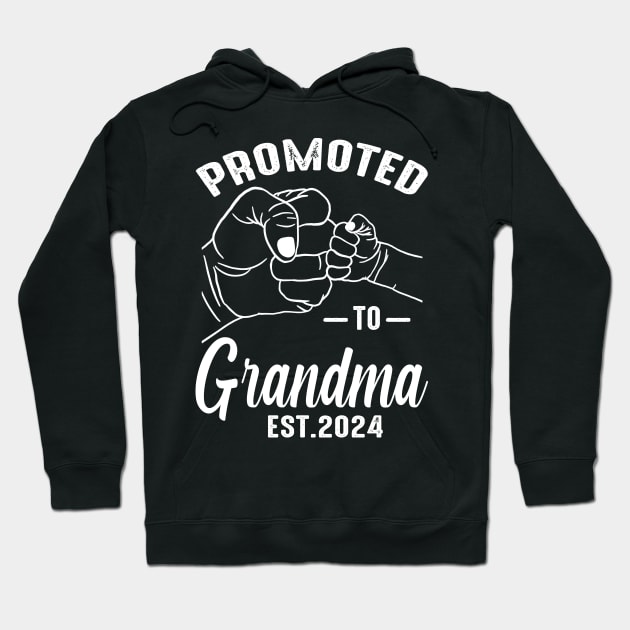 Promoted To Grandma 2024 Hoodie by eyelashget